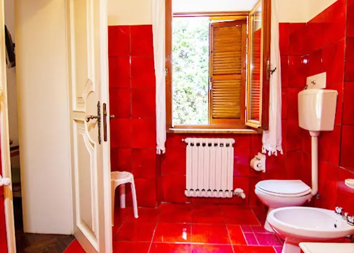 Gigli * סירולו